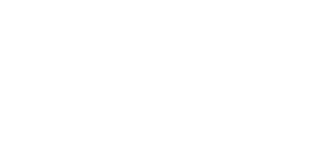 Velotic Partner Logo